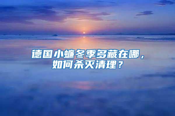 德國小蠊冬季多藏在哪，如何殺滅清理？