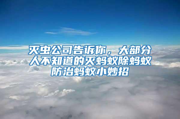 滅蟲公司告訴你,大部分人不知道的滅螞蟻除螞蟻防治螞蟻小妙招