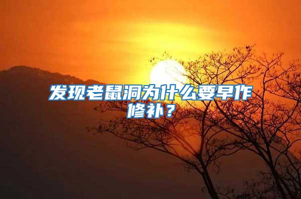 發(fā)現(xiàn)老鼠洞為什么要早作修補(bǔ)?