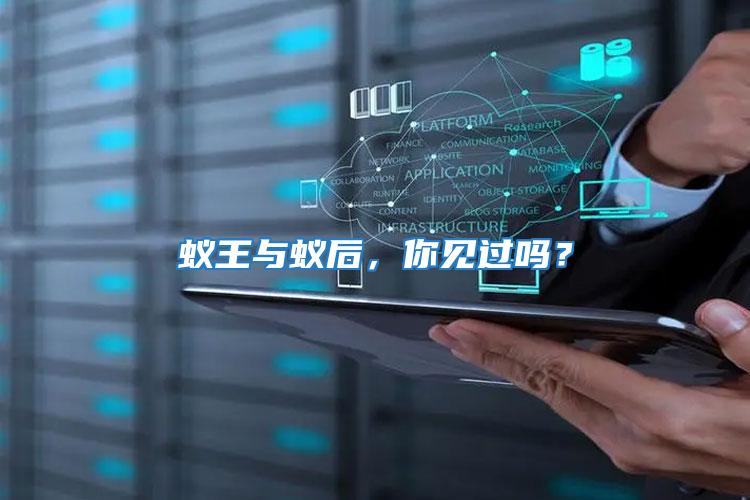 蟻王與蟻后,你見過嗎?