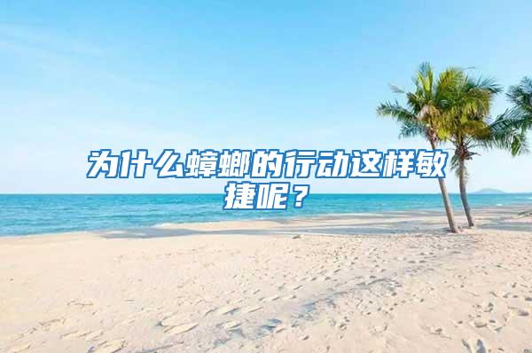 為什么蟑螂的行動這樣敏捷呢？