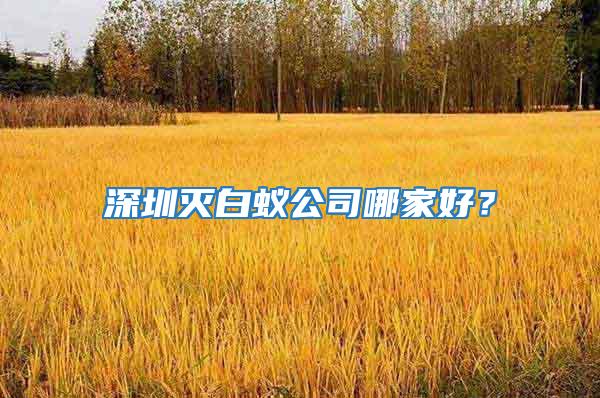 深圳滅白蟻公司哪家好？