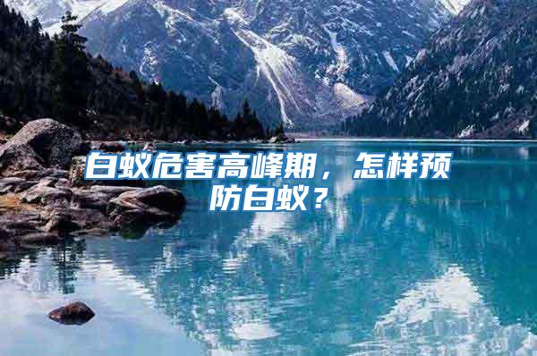 白蟻危害高峰期,怎樣預防白蟻?