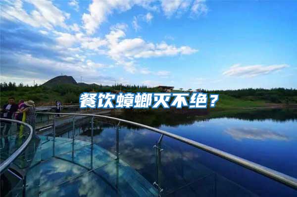 餐飲蟑螂滅不絕?