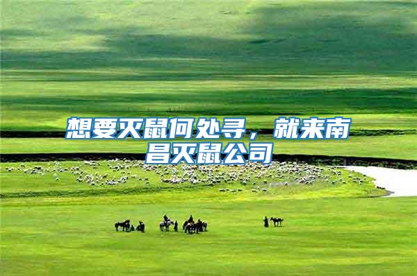 想要滅鼠何處尋,就來南昌滅鼠公司