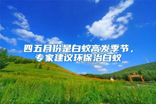 四五月份是白蟻高發季節，專家建議環保治白蟻