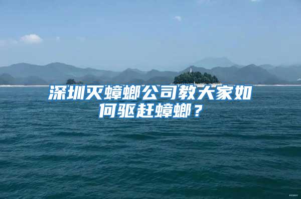 深圳滅蟑螂公司教大家如何驅趕蟑螂？