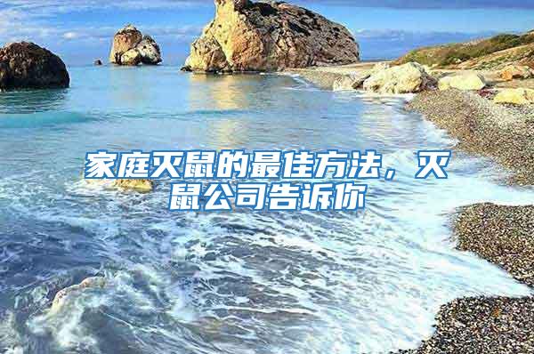家庭滅鼠的最佳方法，滅鼠公司告訴你