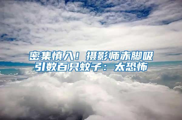 密集慎入！攝影師赤腳吸引數百只蚊子：太恐怖