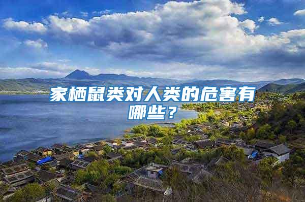 家棲鼠類對人類的危害有哪些?