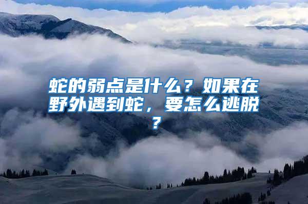 蛇的弱點是什么？如果在野外遇到蛇，要怎么逃脫？