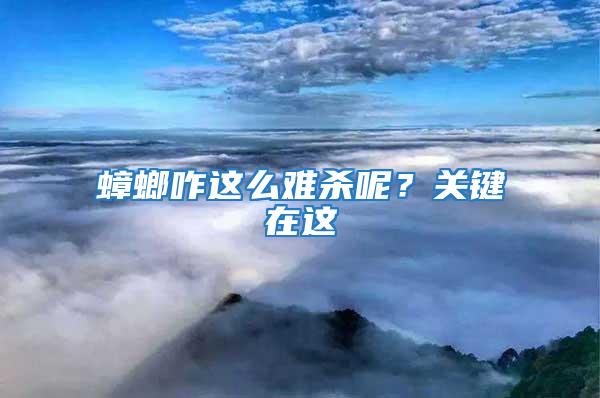 蟑螂咋這么難殺呢?關(guān)鍵在這