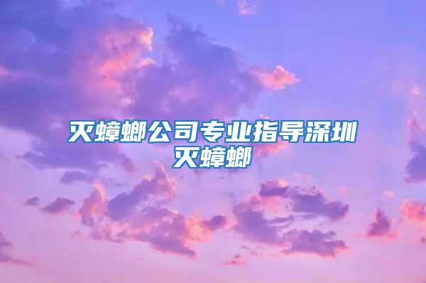 滅蟑螂公司專業(yè)指導(dǎo)深圳滅蟑螂