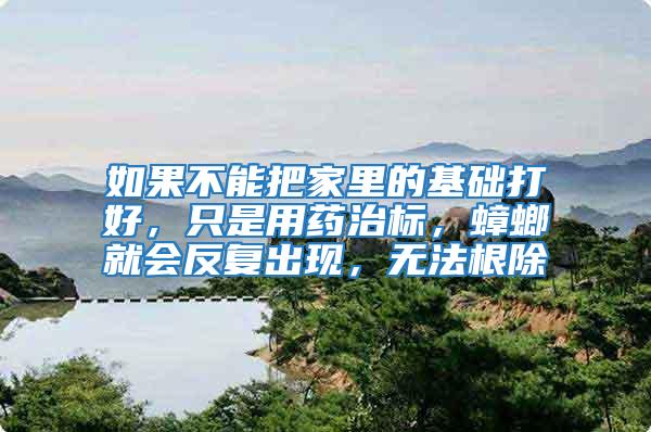 如果不能把家里的基礎(chǔ)打好,只是用藥治標(biāo),蟑螂就會反復(fù)出現(xiàn),無法根除