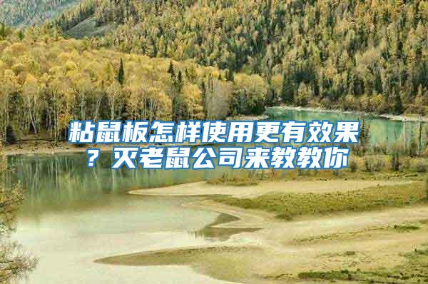粘鼠板怎樣使用更有效果?滅老鼠公司來教教你