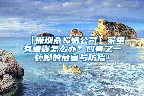 【深圳殺蟑螂公司】家里有蟑螂怎么辦?四害之一蟑螂的危害與防治!