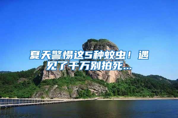 夏天警惕這5種蚊蟲！遇見了千萬別拍死...