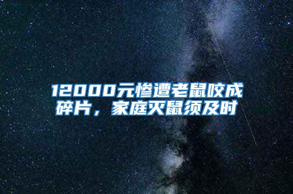 12000元慘遭老鼠咬成碎片，家庭滅鼠須及時