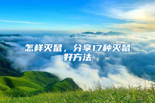 怎樣滅鼠,分享17種滅鼠好方法