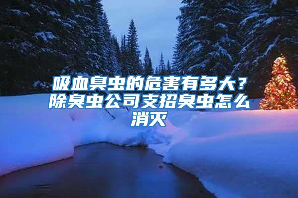 吸血臭蟲的危害有多大?除臭蟲公司支招臭蟲怎么消滅