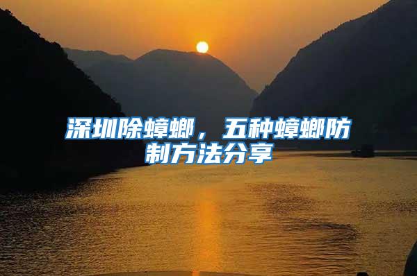 深圳除蟑螂，五種蟑螂防制方法分享