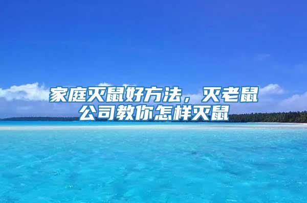家庭滅鼠好方法，滅老鼠公司教你怎樣滅鼠
