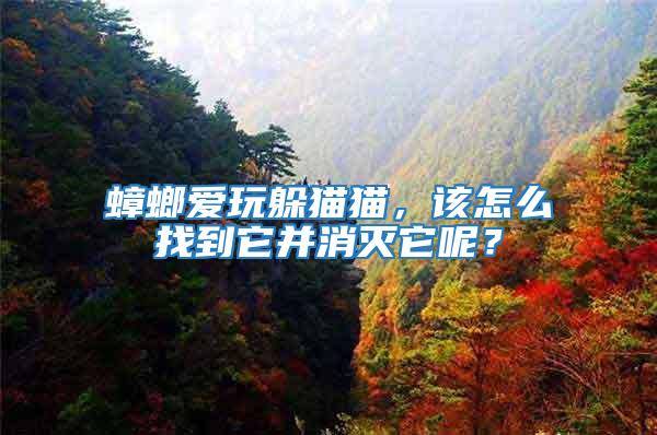 蟑螂愛玩躲貓貓,該怎么找到它并消滅它呢?
