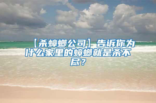 【殺蟑螂公司】告訴你為什么家里的蟑螂就是殺不盡?