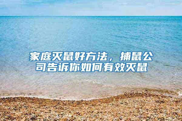 家庭滅鼠好方法,捕鼠公司告訴你如何有效滅鼠