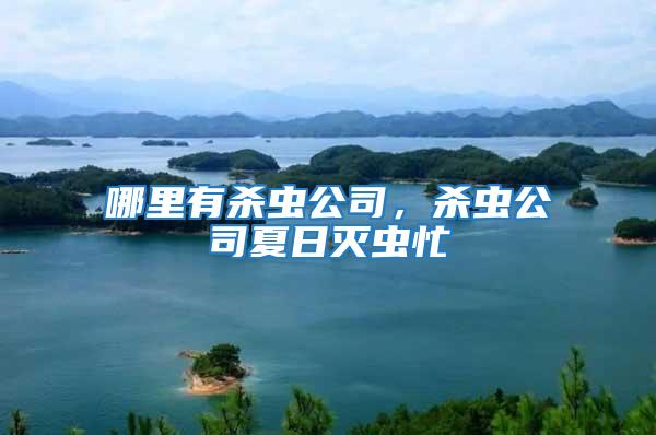 哪里有殺蟲公司，殺蟲公司夏日滅蟲忙