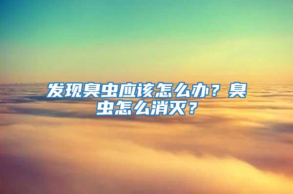 發現臭蟲應該怎么辦？臭蟲怎么消滅？