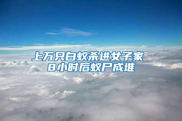 上萬只白蟻殺進(jìn)女子家 8小時后蟻尸成堆
