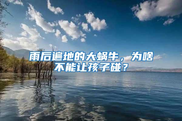 雨后遍地的大蝸牛,為啥不能讓孩子碰?