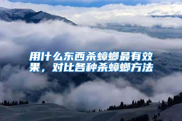 用什么東西殺蟑螂最有效果,對比各種殺蟑螂方法