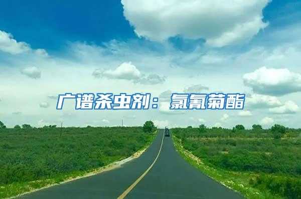 廣譜殺蟲劑:氯氰菊酯