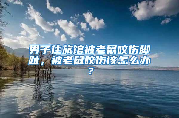 男子住旅館被老鼠咬傷腳趾,被老鼠咬傷該怎么辦?