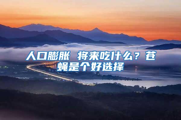 人口膨脹 將來吃什么?蒼蠅是個好選擇