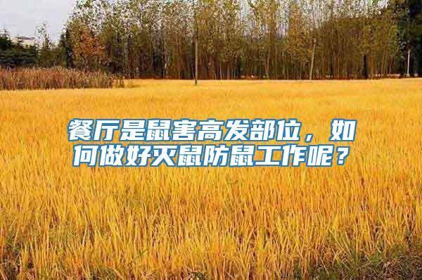 餐廳是鼠害高發部位,如何做好滅鼠防鼠工作呢?