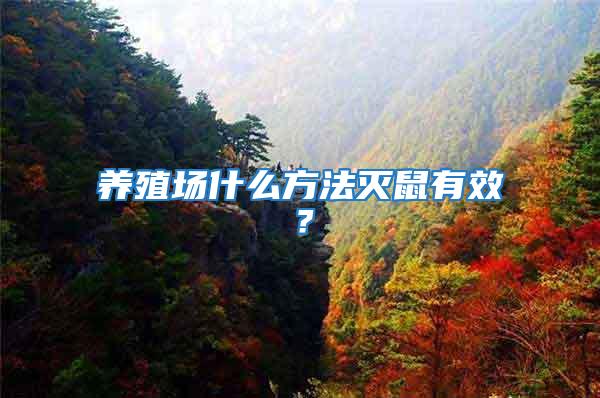 養(yǎng)殖場什么方法滅鼠有效?