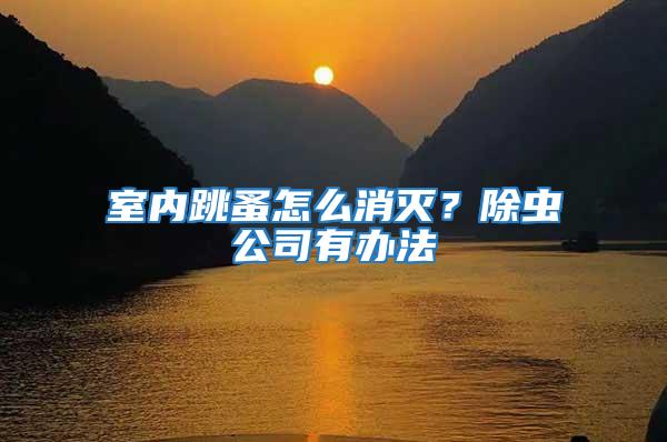室內跳蚤怎么消滅?除蟲公司有辦法