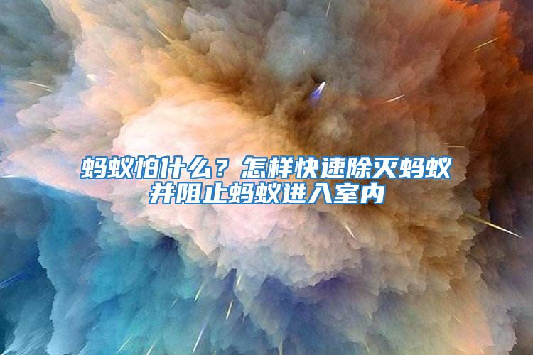 螞蟻怕什么?怎樣快速除滅螞蟻并阻止螞蟻進入室內