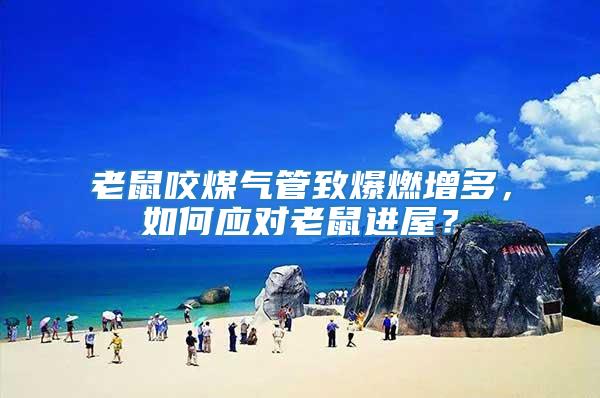 老鼠咬煤氣管致爆燃增多,如何應對老鼠進屋?