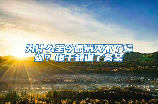為什么至今都消滅不了蟑螂？終于知道了答案