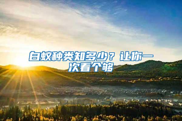 白蟻種類知多少?讓你一次看個夠