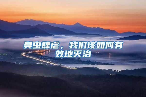 臭蟲肆虐，我們該如何有效地滅治