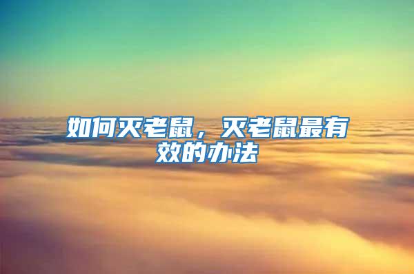 如何滅老鼠,滅老鼠最有效的辦法