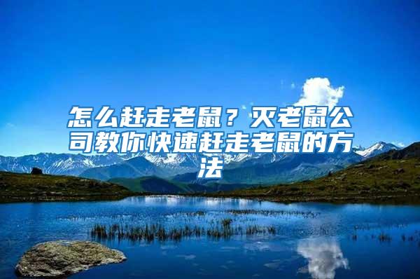 怎么趕走老鼠?滅老鼠公司教你快速趕走老鼠的方法