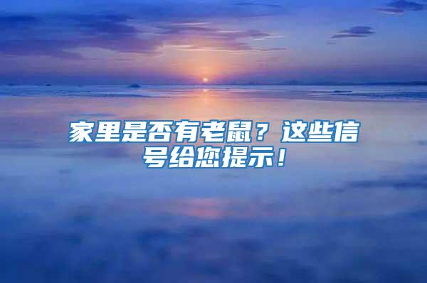 家里是否有老鼠？這些信號給您提示！