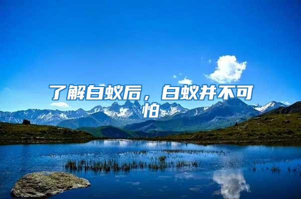 了解白蟻后,白蟻并不可怕