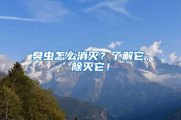 臭蟲怎么消滅？了解它，除滅它！